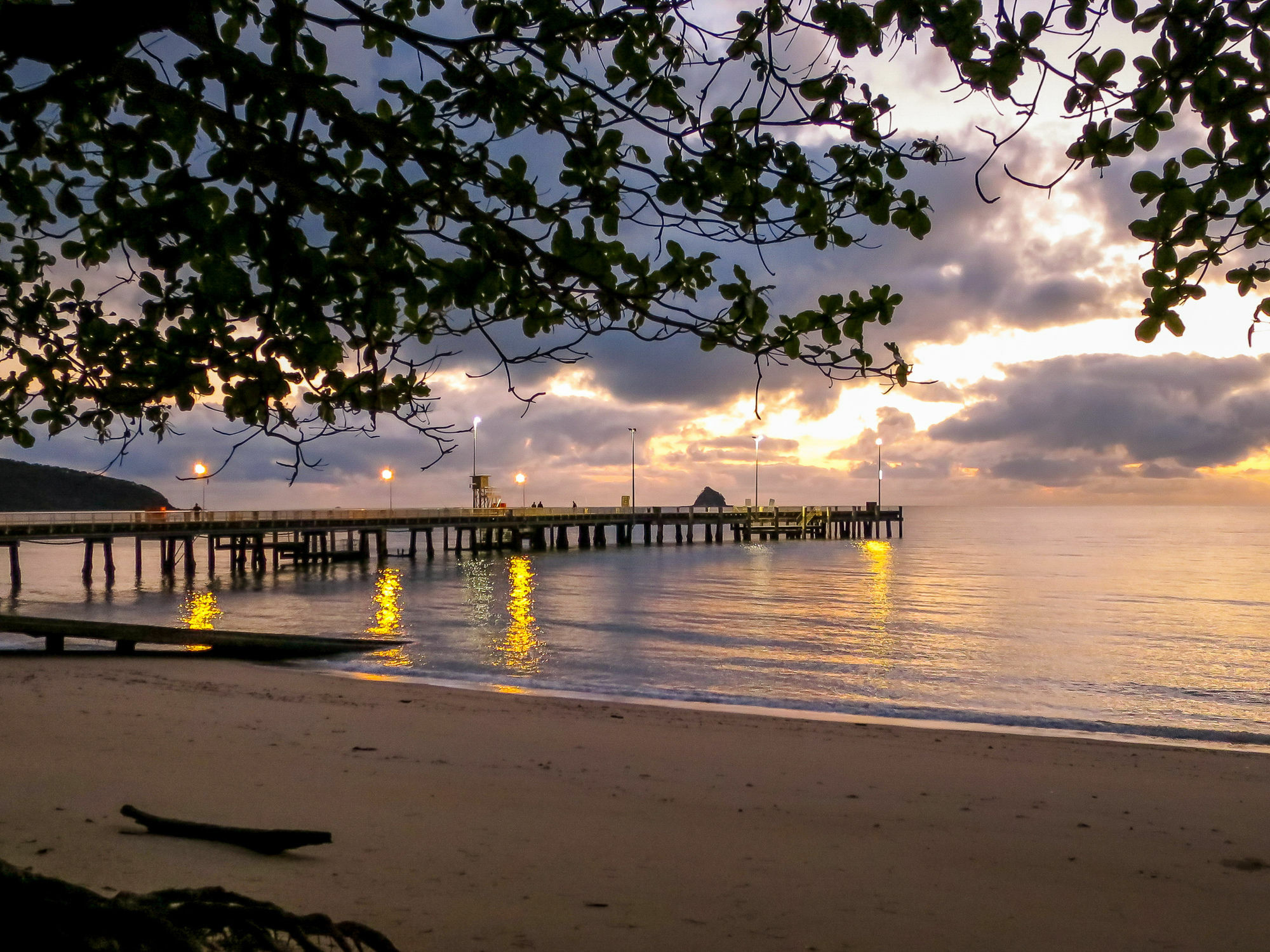 Marlin Waters Beachfront Apartments Palm Cove Buitenkant foto