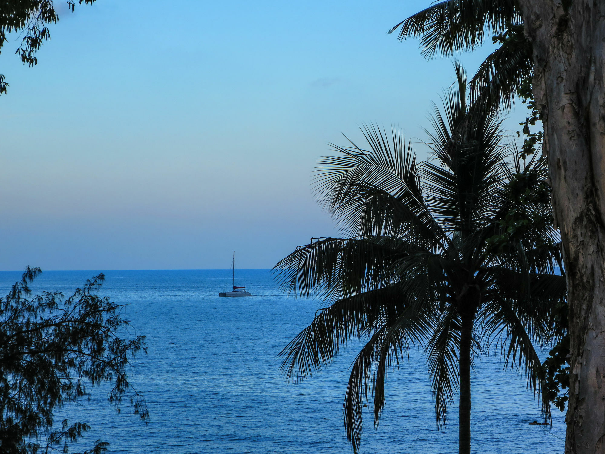 Marlin Waters Beachfront Apartments Palm Cove Buitenkant foto