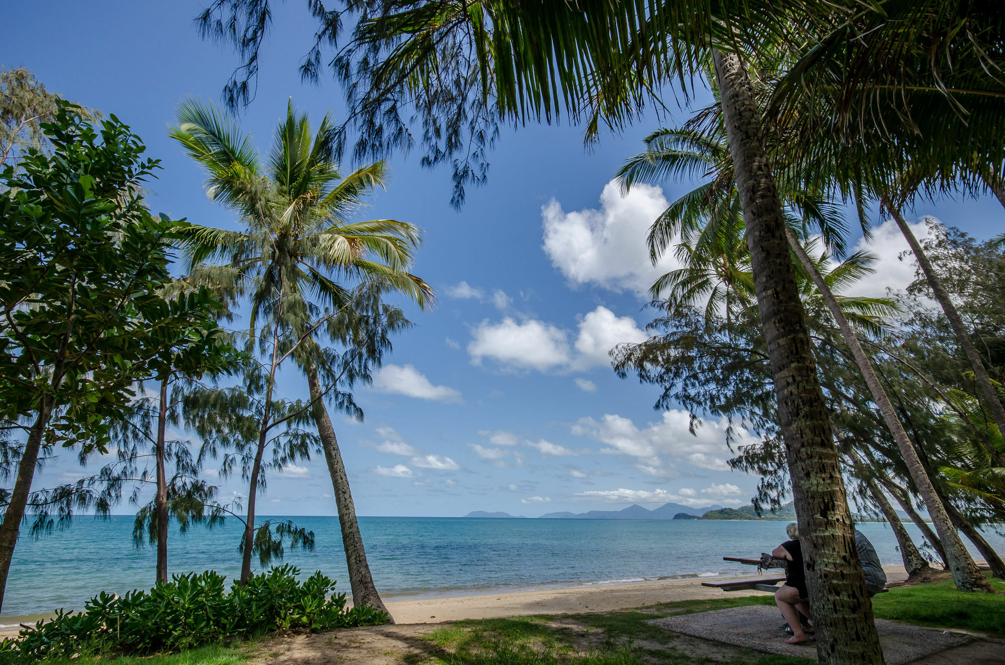 Marlin Waters Beachfront Apartments Palm Cove Buitenkant foto