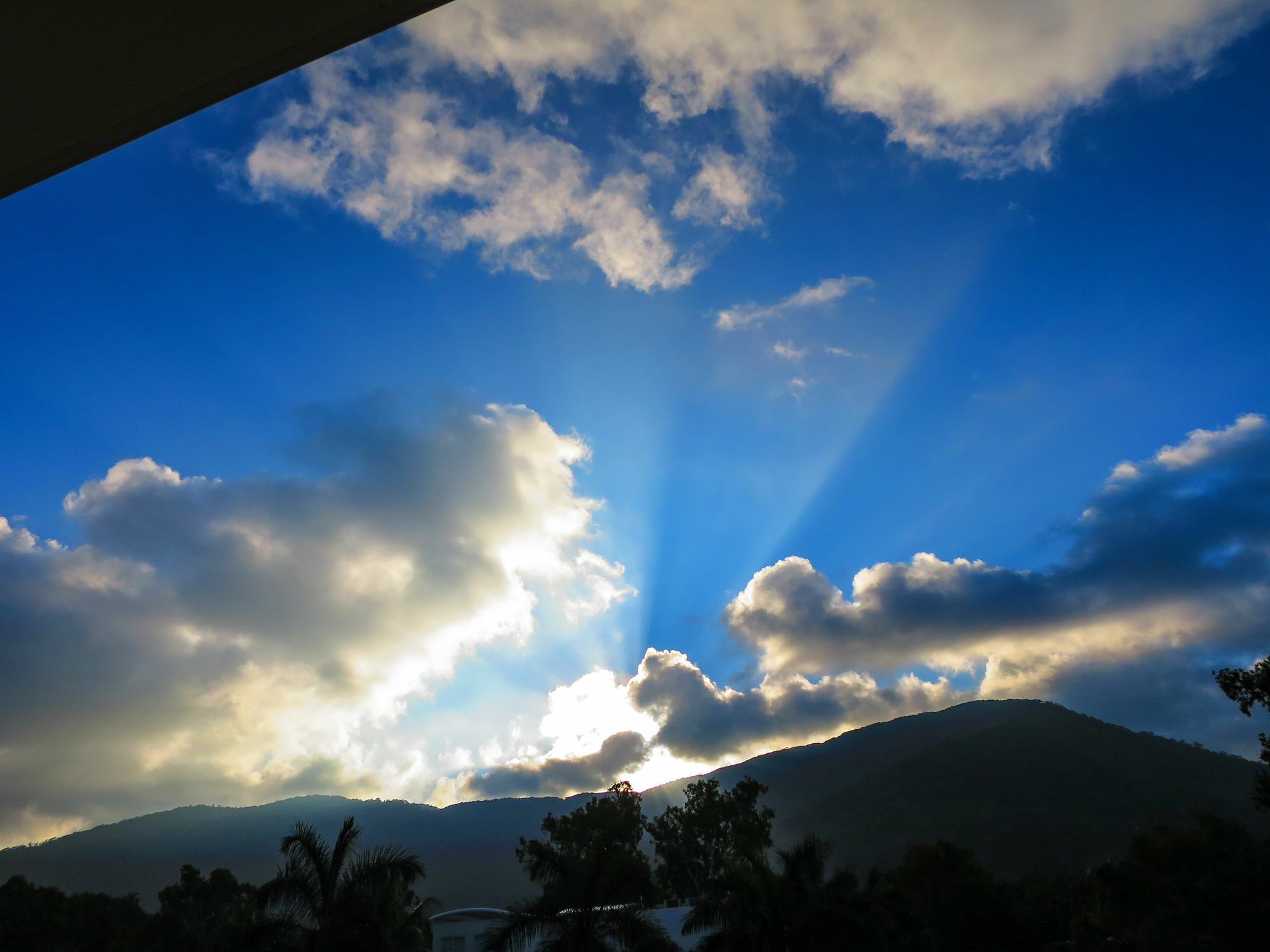 Marlin Waters Beachfront Apartments Palm Cove Buitenkant foto