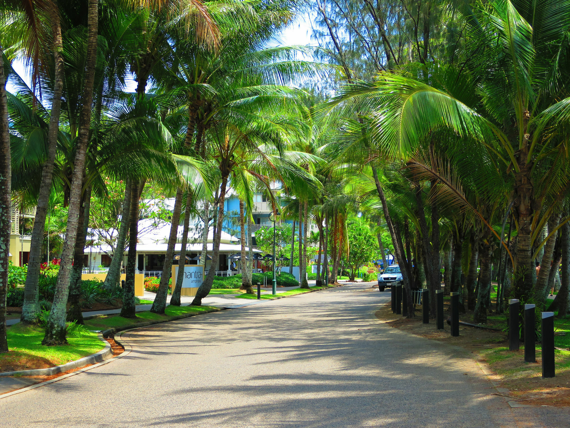 Marlin Waters Beachfront Apartments Palm Cove Buitenkant foto