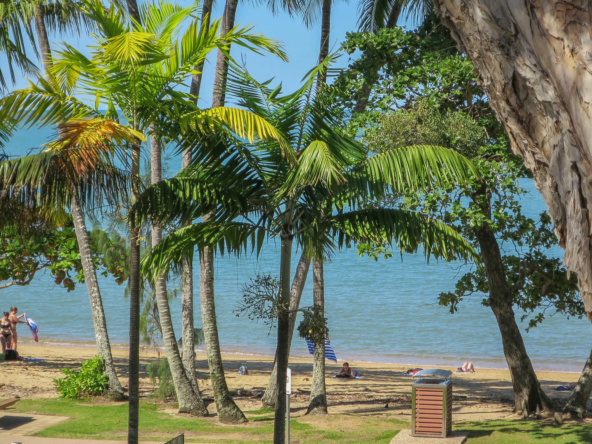Marlin Waters Beachfront Apartments Palm Cove Buitenkant foto