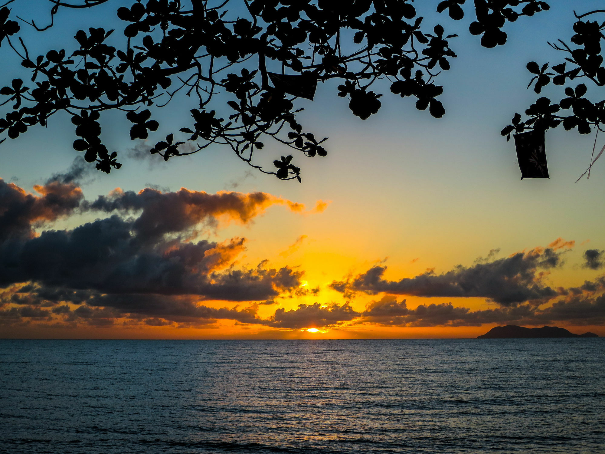 Marlin Waters Beachfront Apartments Palm Cove Buitenkant foto